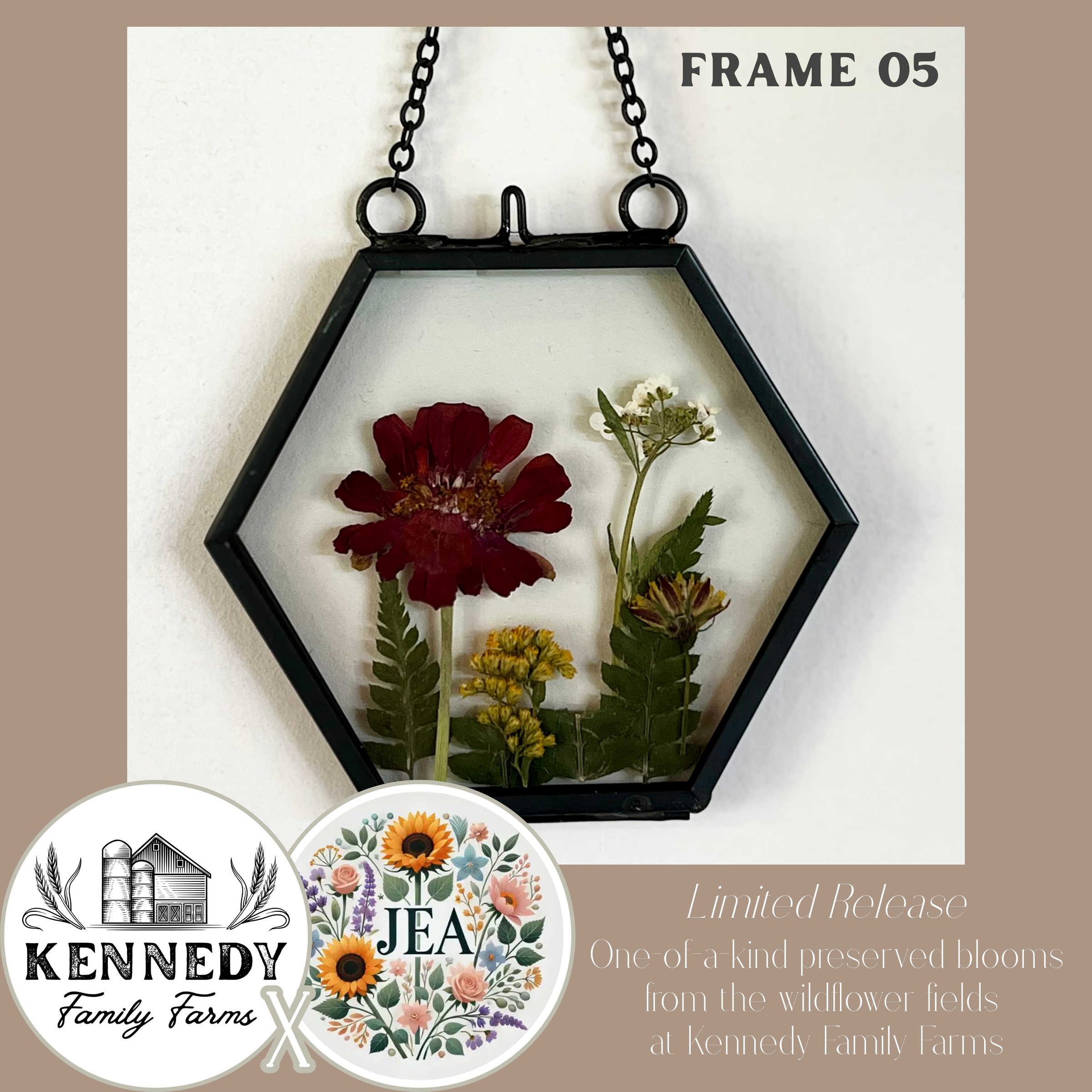 FLOWERS オケコン「Memoire eternelle」 来場者記念品 FLOWERS オケコン「Memoire eternelle」 来場者記念品 FLOWERS